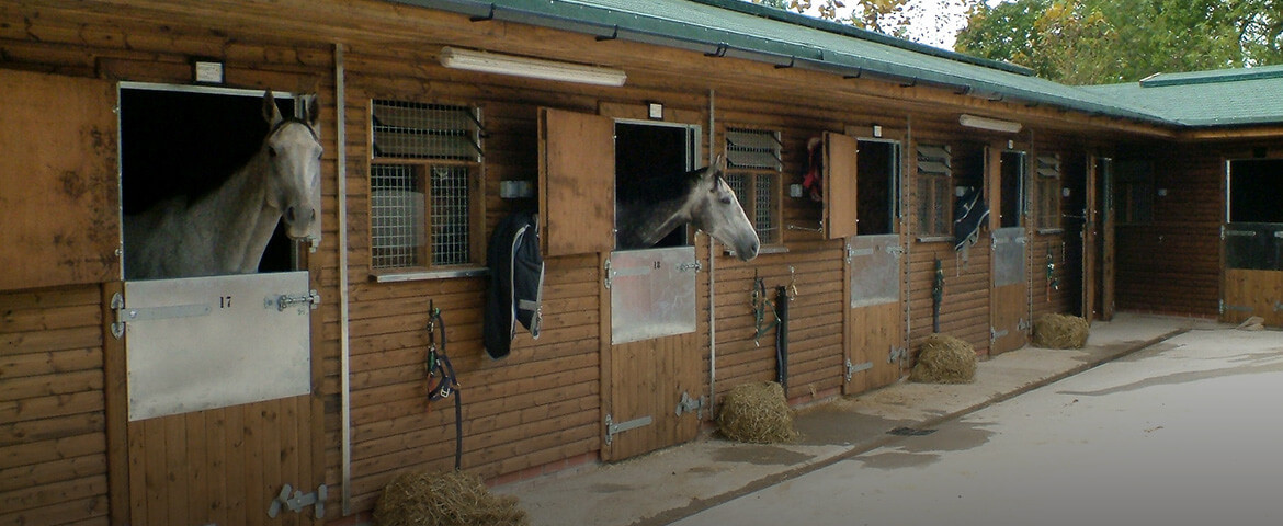 Equestrian Timber Buildings