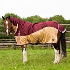 TROJAN Xtra Waterproof Fly Rug Combo