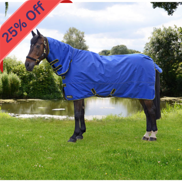 StormX Original 100 Combi Turnout Rug image #1