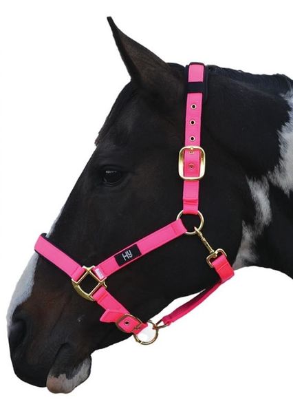 Hy Deluxe Padded Head Collar Cob