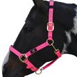 Hy Deluxe Padded Head Collar Pony