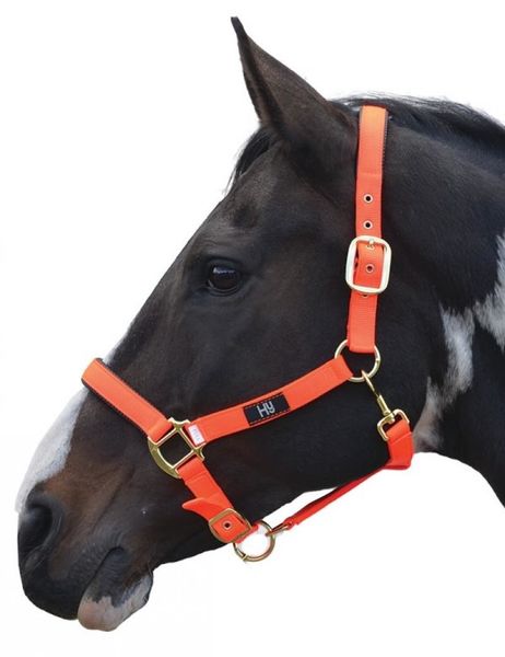 Hy Grand Prix Head Collar Full Size