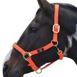 Hy Grand Prix Head Collar Cob Size