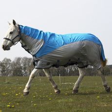 Gallop Turnout/Fly rug