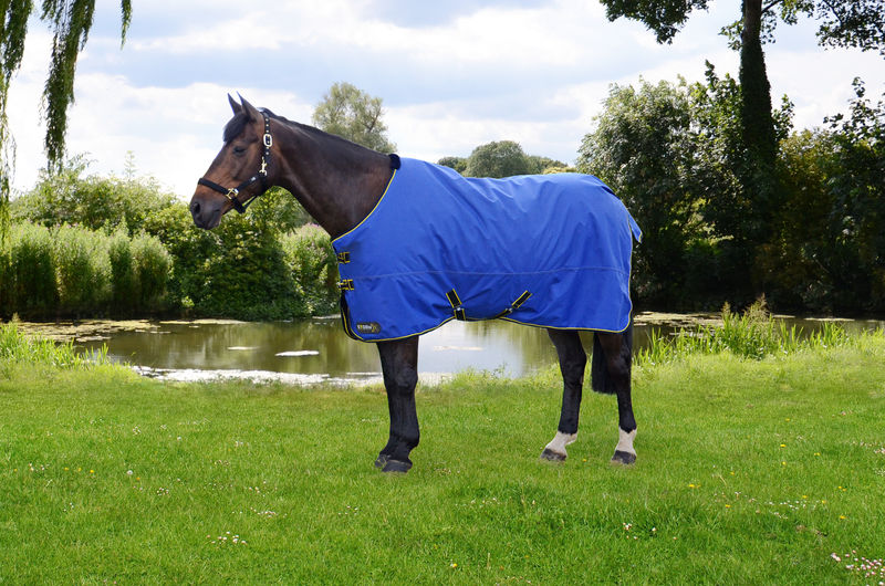 StormX Original 100 Turnout Rug image #2