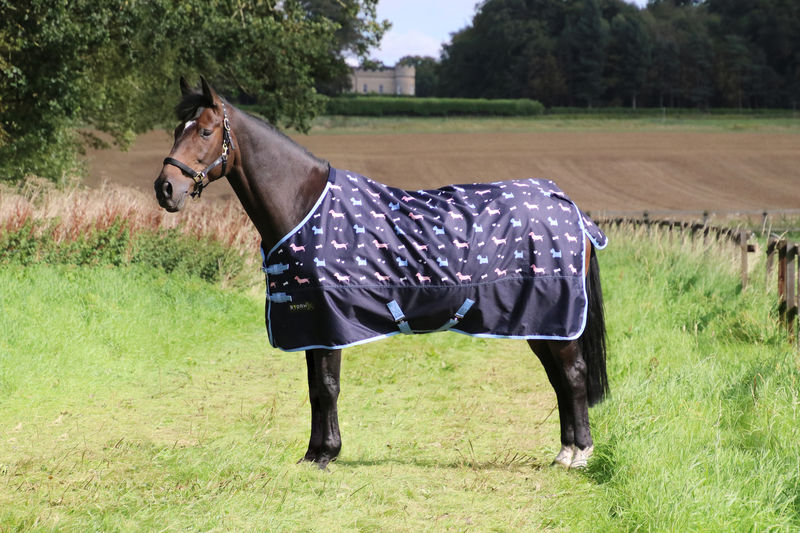 StormX Original Liza Dog 0 Turnout Rug image #1