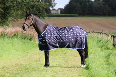 StormX Original Liza Dog 0 Turnout Rug