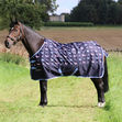 StormX Original Liza Dog 0 Turnout Rug image #1