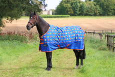 StormX Original Simon the Sheep 50 Turnout Rug