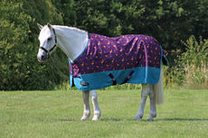 StormX Patrick the Pheasant 100 Turnout Rug