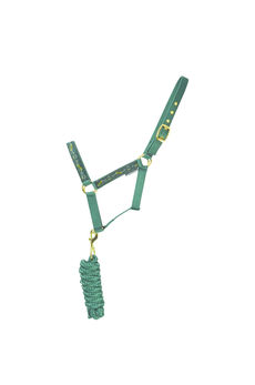 HyEQUESTRIAN Elegant Stirrup & Bit Head Collar & Lead Rope