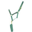 HyEQUESTRIAN Elegant Stirrup & Bit Head Collar & Lead Rope image #1