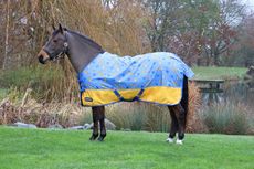 StormX Original Chico the Cheetah 0 light weight Turnout Rug
