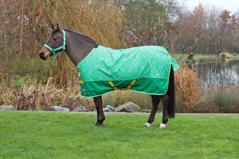 StormX Original Competition Ready 50 Turnout Rug image #1