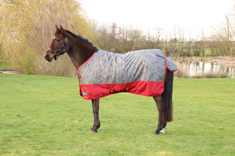 StormX Original Country Walks 100 Turnout Rug 