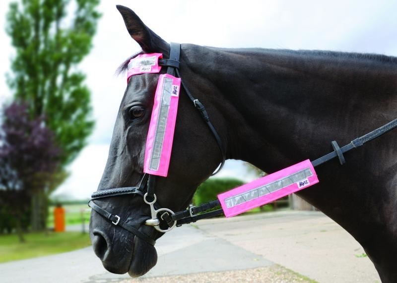 Pink HyVIZ Bridle Set