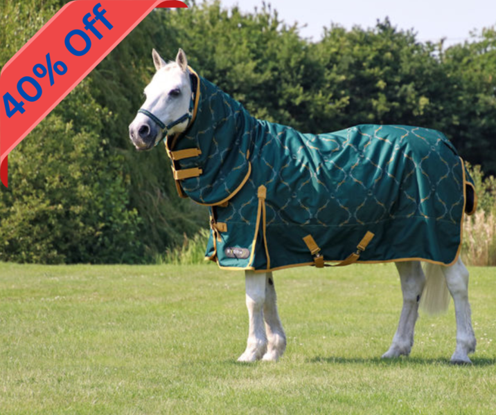 StormX Elegant Stirrup & Bit 200 Combi Turnout Rug image #1