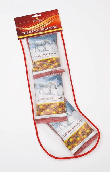 Lincoln Christmas Treat Stocking