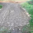 We created a gravel driveway to the site for easy acsess