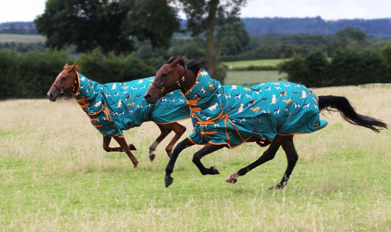Dogs Print 200g Combo Turnout Rug image #2