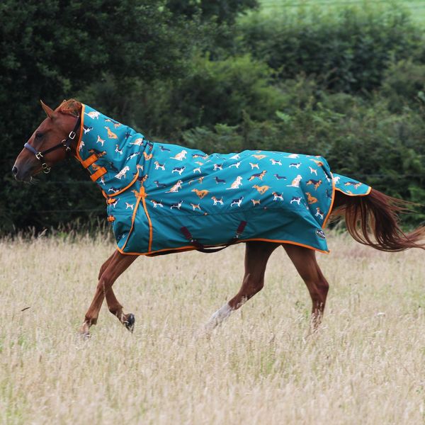 Dogs Print 200g Combo Turnout Rug image #1