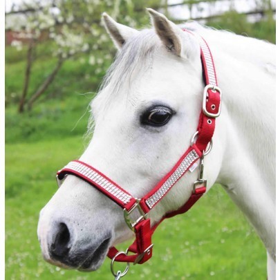 Diamante Padded Headcollar - full-red