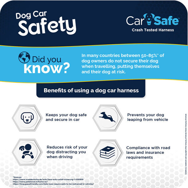 Car Safe Crash Tested Harness image #4