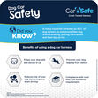 Car Safe Crash Tested Harness image #4