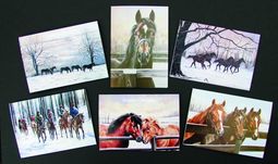 Caroline Cook Christmas Cards Pack of 12