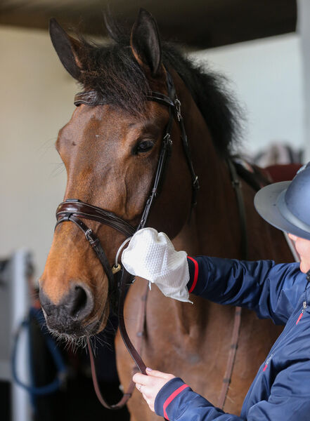 Belvoir Tack Cleaner Mitt image #1