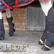 Gallop Travel Boots - Black image #2