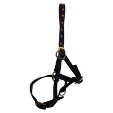 black foal head collar 