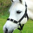 Black Nylon Headcollar and Lead Rope