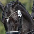 Equetech - BRIDLE NUMBER HOLDERS image #2