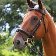 Comfort Bridle and Rubber Reins image #2