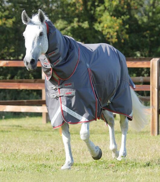 Premier Equine - Buster 50g Turnout Rug with Snug-Fit Neck Cover image #2