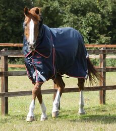 Premier Equine - Buster 50g Turnout Rug with Snug-Fit Neck Cover