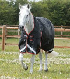 PREMIER EQUINE - Buster Hardy 100g Half Neck Turnout Rug