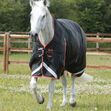 PREMIER EQUINE - Buster Hardy 100g Half Neck Turnout Rug image #1