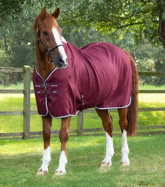 Buster Waffle Horse Cooler Rug - Premier equine image #2