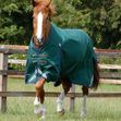 Premier Equine Buster Zero Original Turnout Rug image #2