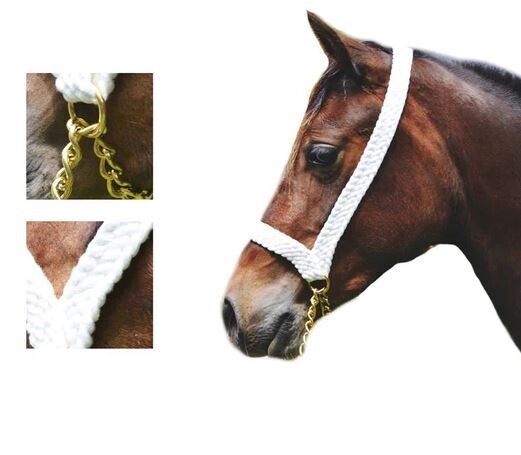8 STRAND (1"+) PLAITED HALTER WITH CHAIN AND ROPE LEAD image #1