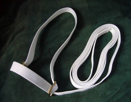 1" WEB ADJUSTABLE HALTER image #2