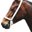 1" WEB ADJUSTABLE HALTER image #1