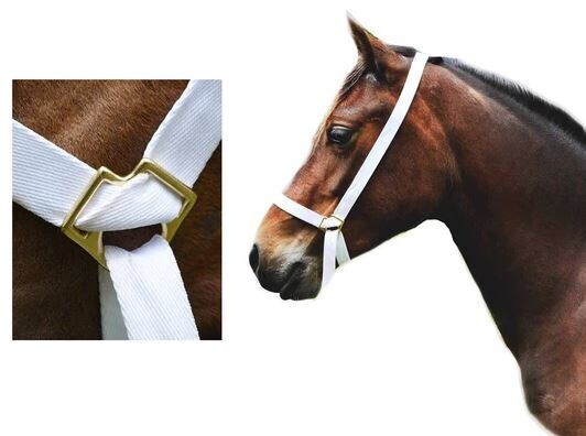 (3/4") 20 MM FULLY ADJUSTABLE WHITE WEB HALTER PONY FOAL OR TINY PONY image #1