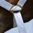 (3/4") 20 MM FULLY ADJUSTABLE WHITE WEB HALTER PONY FOAL OR TINY PONY image #2