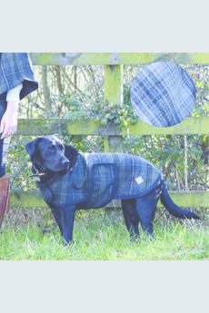 Claire Tweed and Faux-Fur Dog Coat