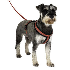 HALTI COMFY HARNESS