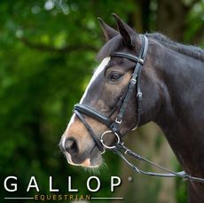 Comfort Bridle and Rubber Reins