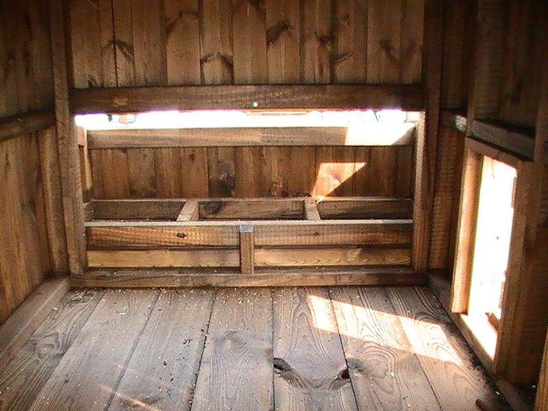 Chicken Coop image #3